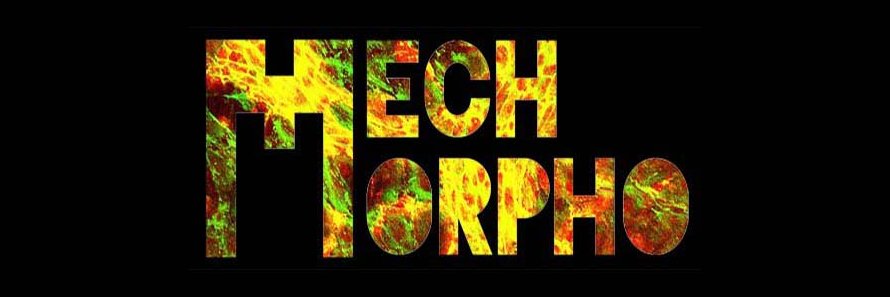 Lance Davidson banner