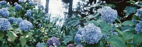 _ice9rea6's profile banner image