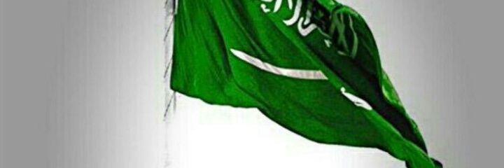 alihadi1385's profile banner image