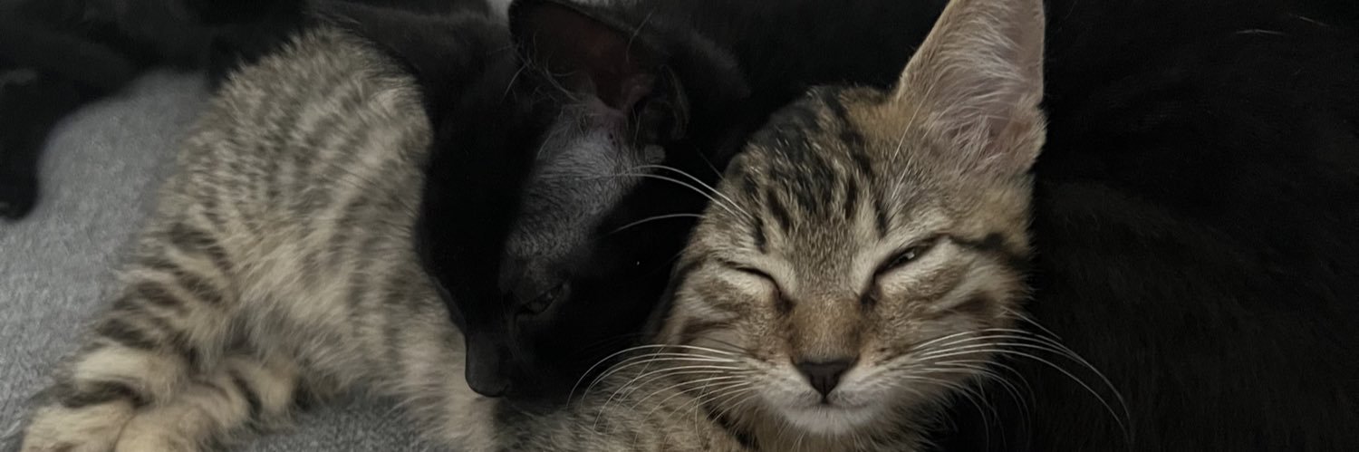 assorescapatt's profile banner image