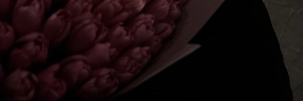 wyaano Profile Banner