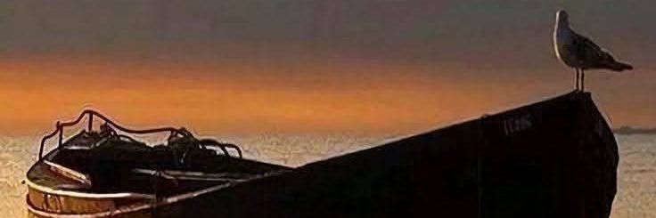 NOmran5712's profile banner image