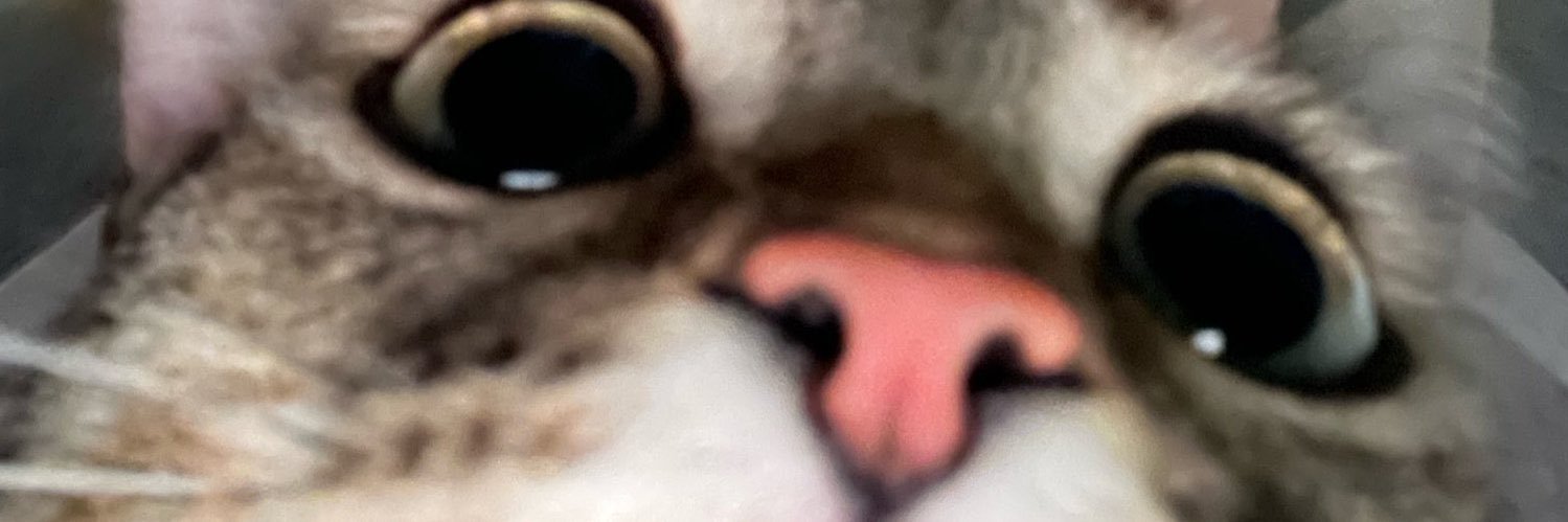 GingerBae0's profile banner image