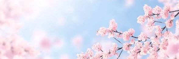 a banner