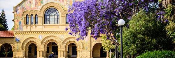 Mallika Paulraj banner