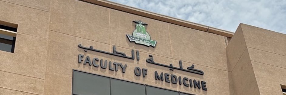 Lili | gap year banner