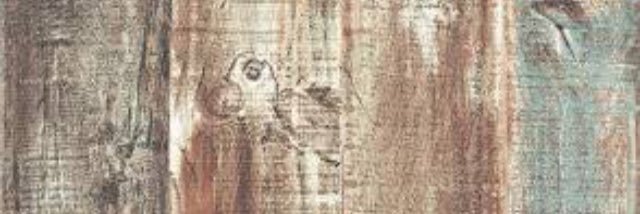MONICADAVALOST banner