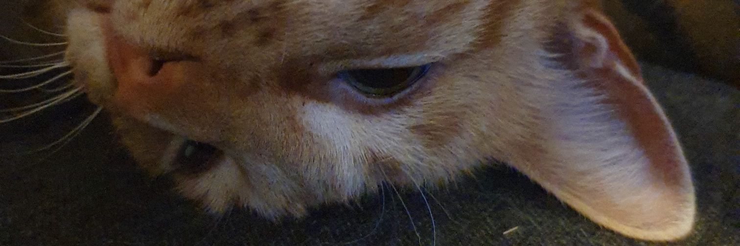 hgeez's profile banner image