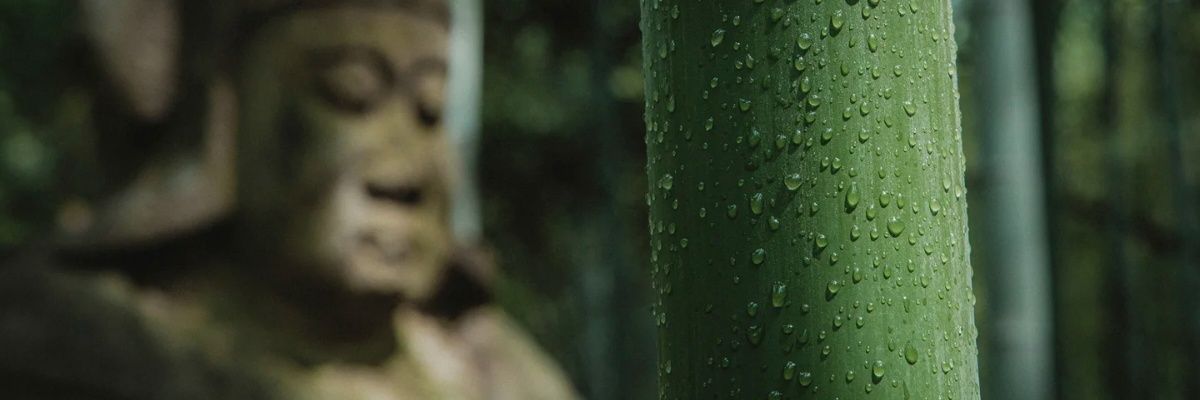 caix9571's profile banner image