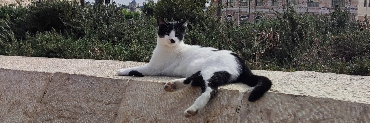 LevantComments banner