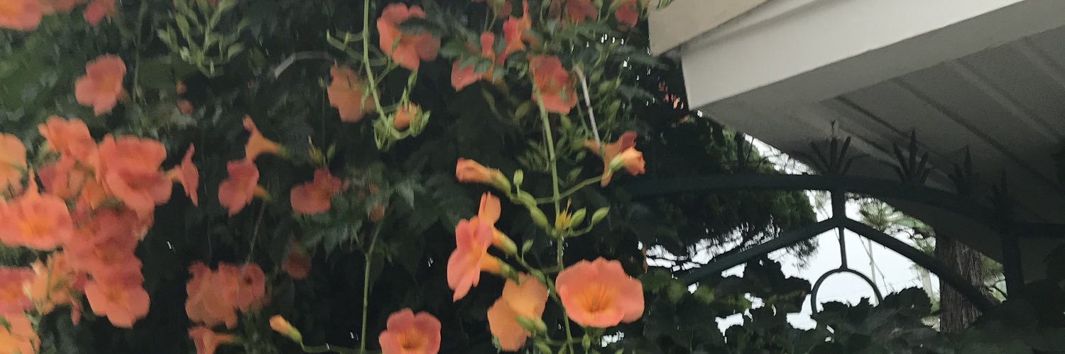 모코 banner