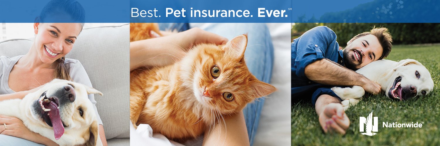 NationwideDVM's profile banner image