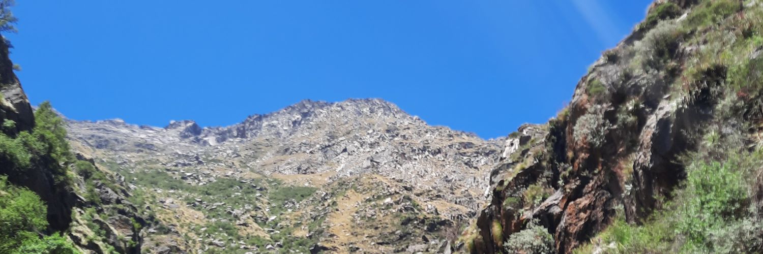 BrenOlmed's profile banner image