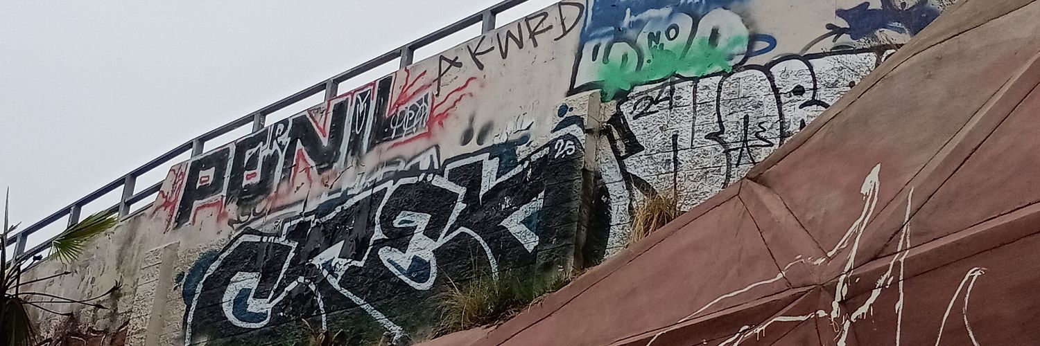 ohhhhhPikachu's profile banner image