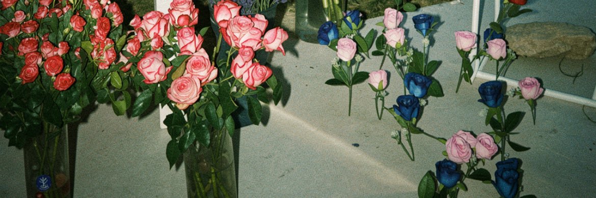 ✩ banner