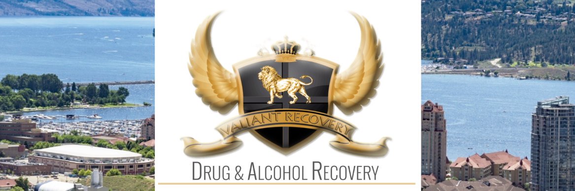 ValiantRecovery's profile banner image