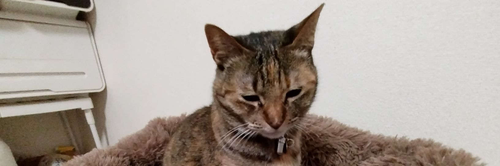 pdadhdadd's profile banner image