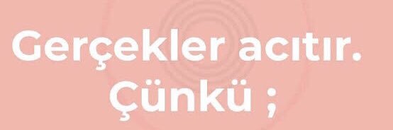 kedigribi's profile banner image