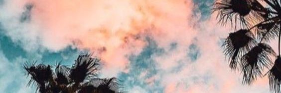 GuadalupeSerna0's profile banner image