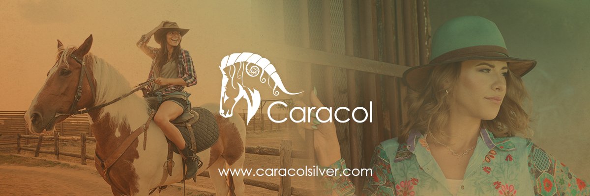 Caracolsilver's profile banner image