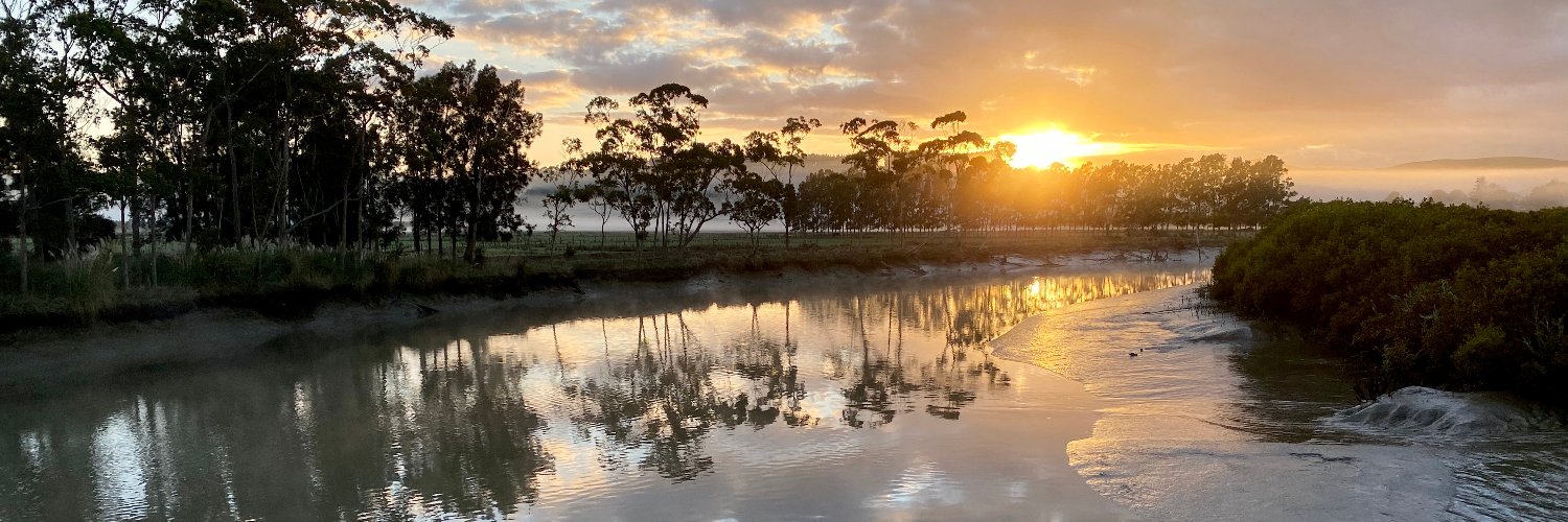 MSNNZ's profile banner image