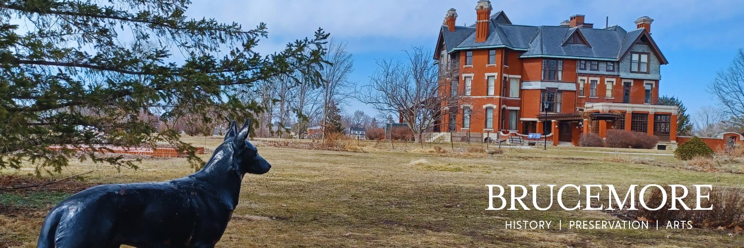 BrucemoreSite's profile banner image