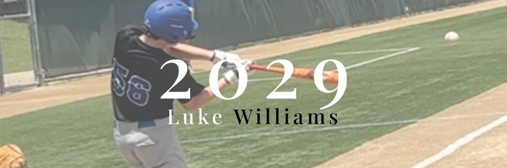 Luke Williams banner