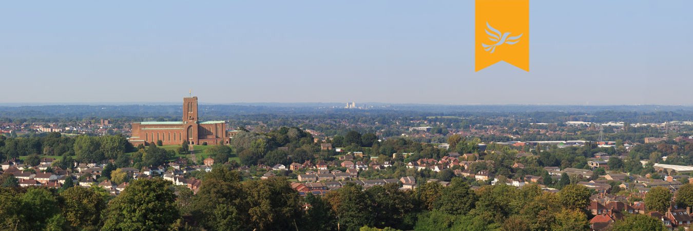 Guildford Lib Dems banner
