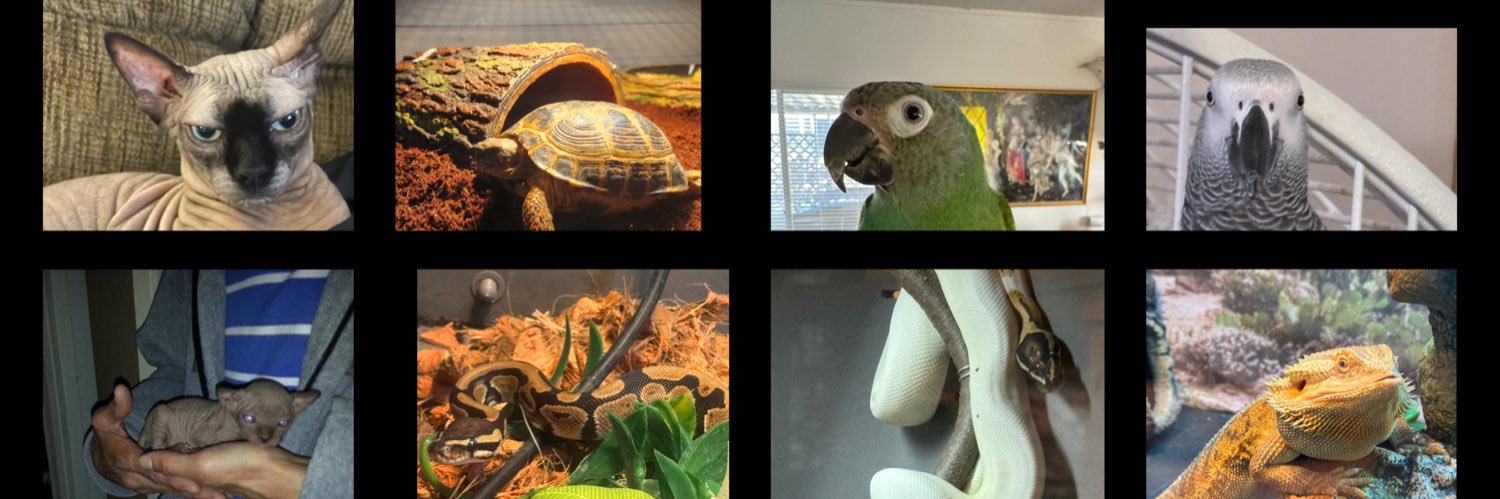 James Allen Thomas banner