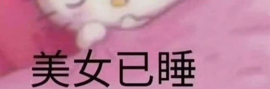 布丁小咪 banner