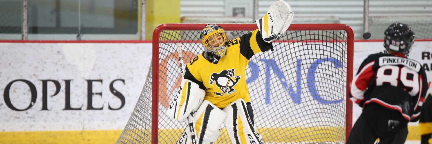 Nicholas J. Futules banner