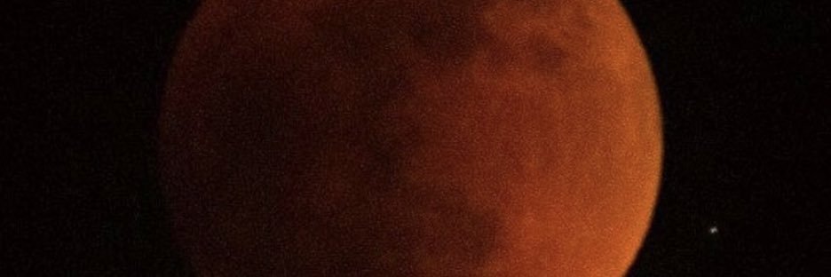 Nicole Taffer banner