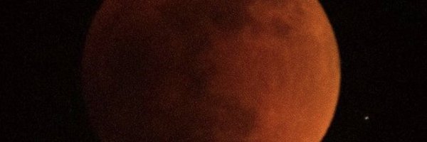 NicoleTaffer Profile Banner