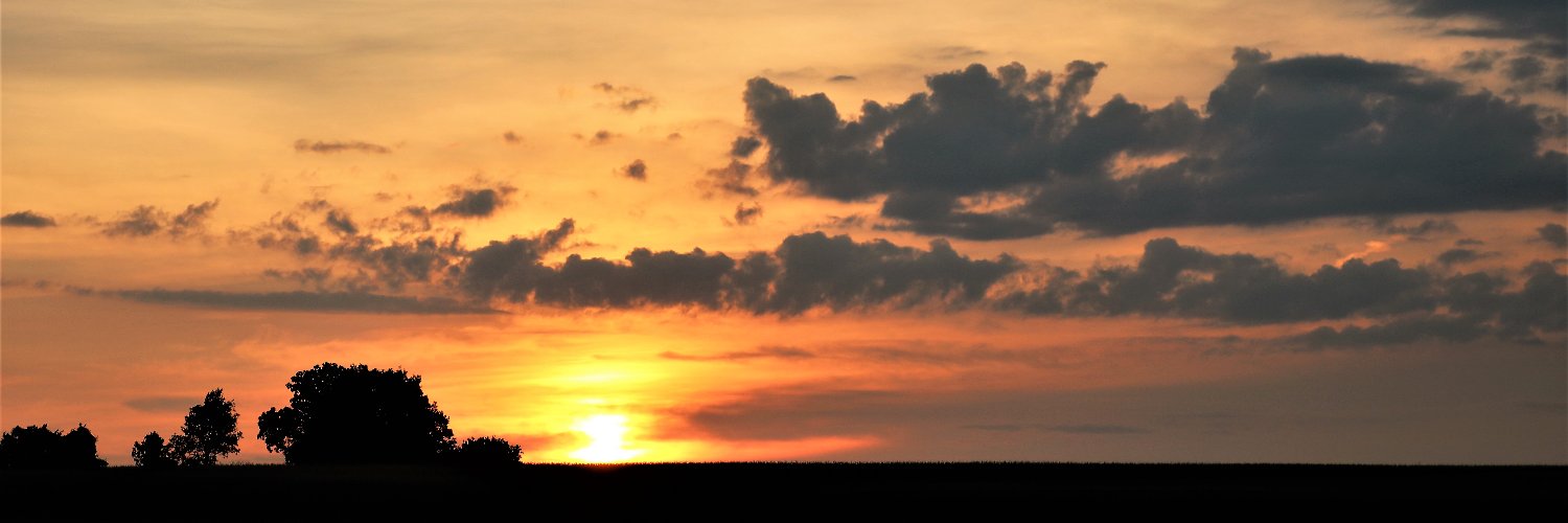 michaelleavy1's profile banner image