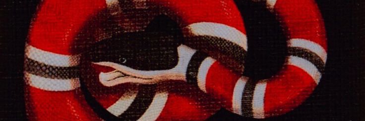 legacyy82's profile banner image