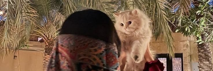 Meem4alt's profile banner image