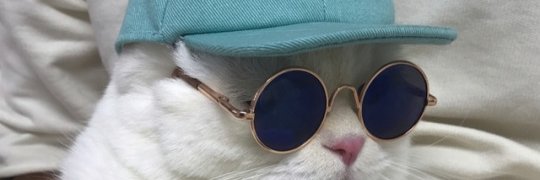 LOLDevon's profile banner image