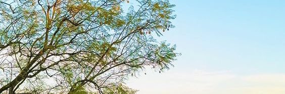 QuotesLibrary banner