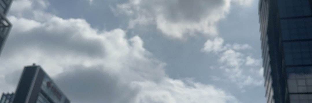 羊 banner