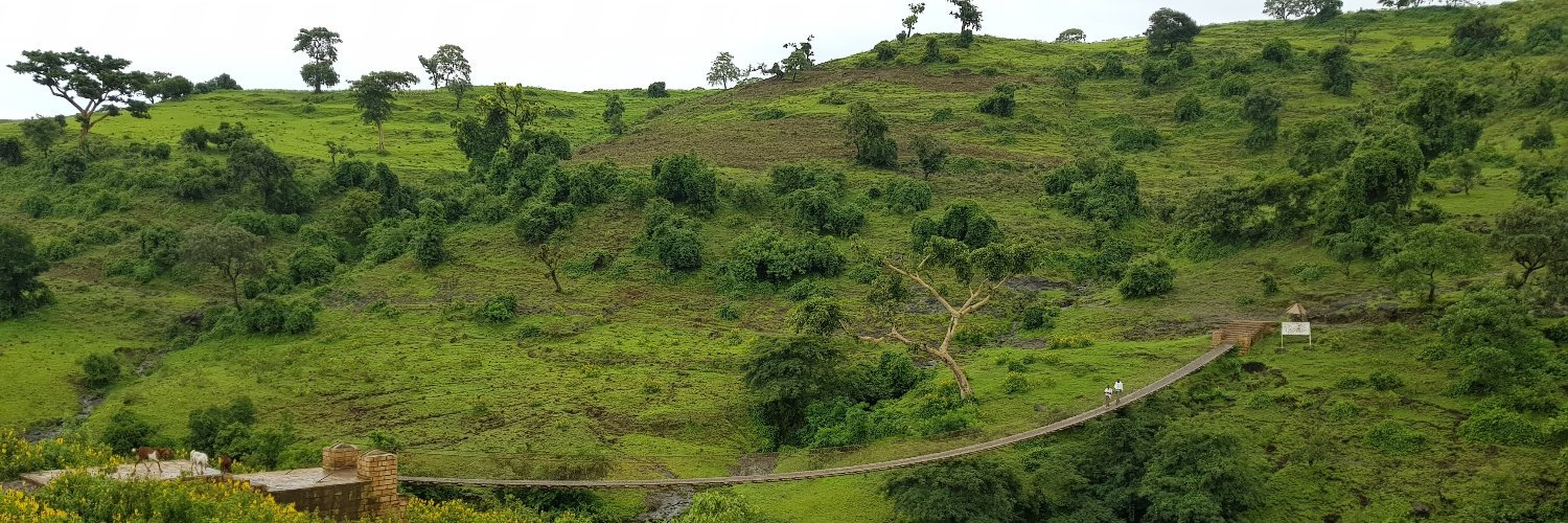 Anne Brockmeyer @annebrockmeyer.bsky.social banner