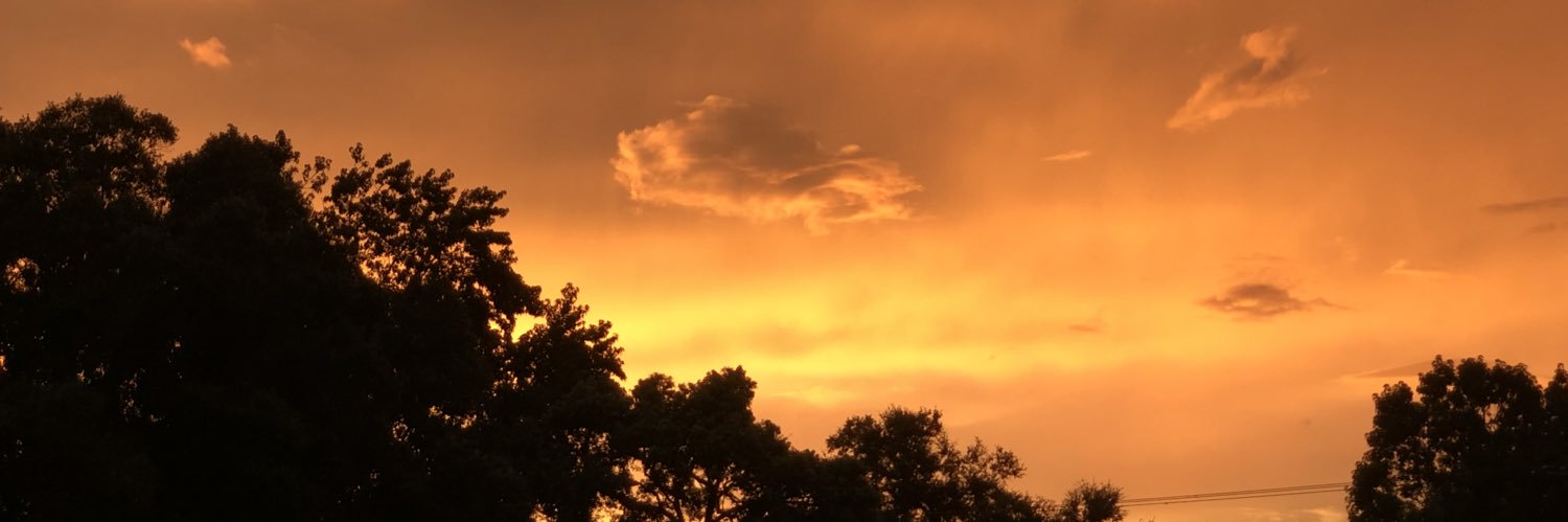 seank8133's profile banner image
