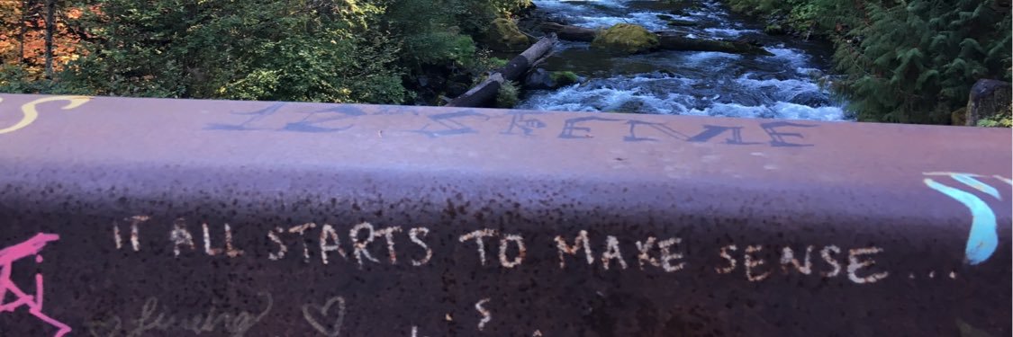 caiterbird's profile banner image