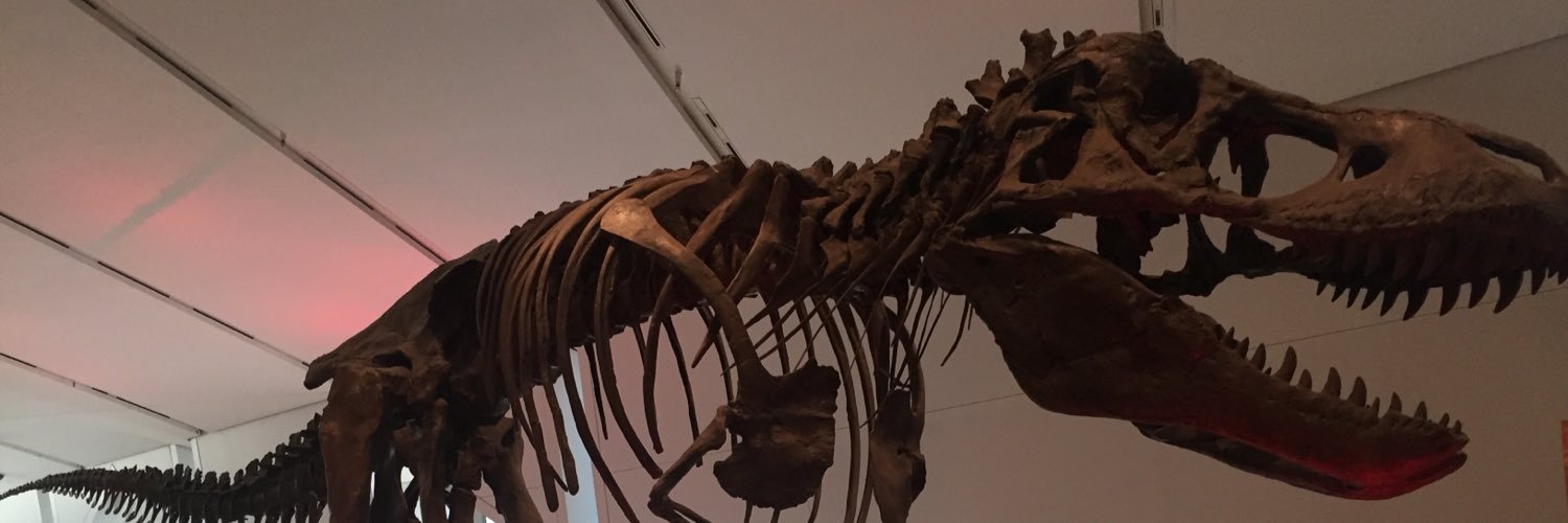DominicAluia's profile banner image