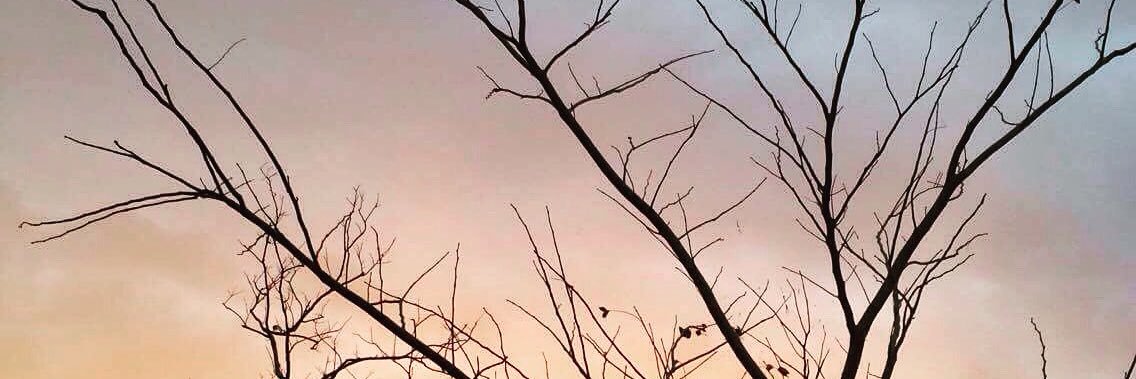 awesomecessa's profile banner image