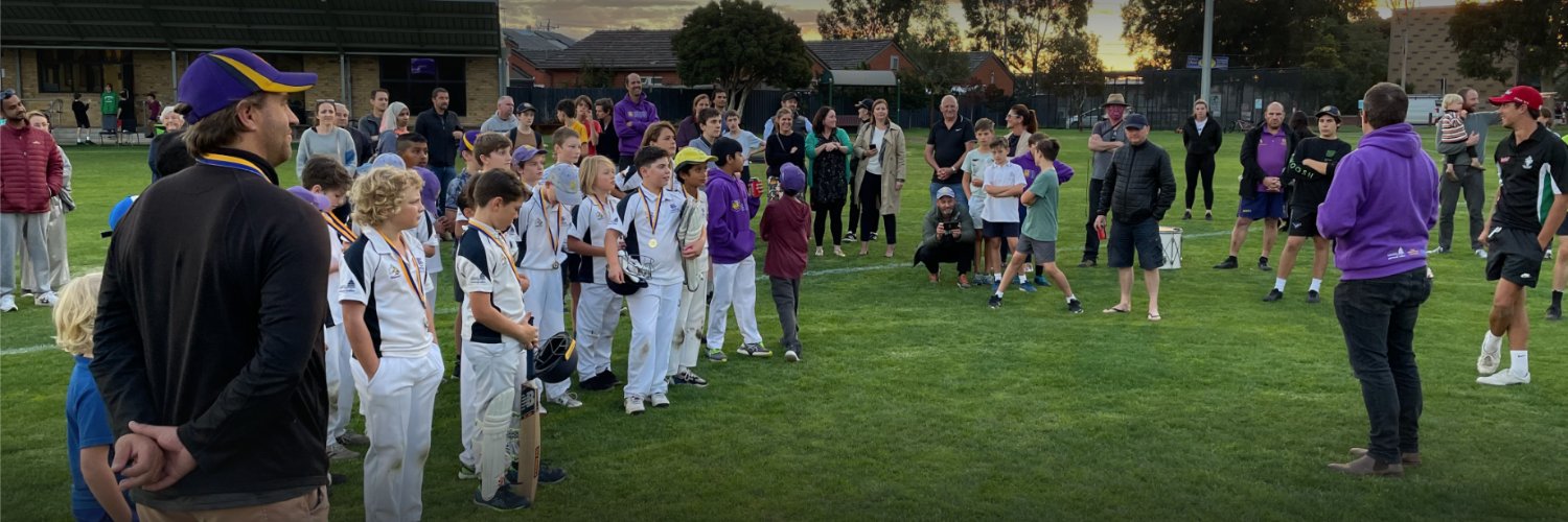 Druids Cricket Club banner