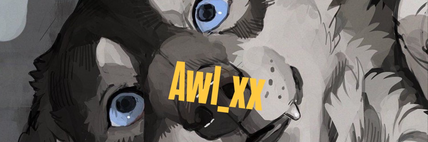 Awl banner