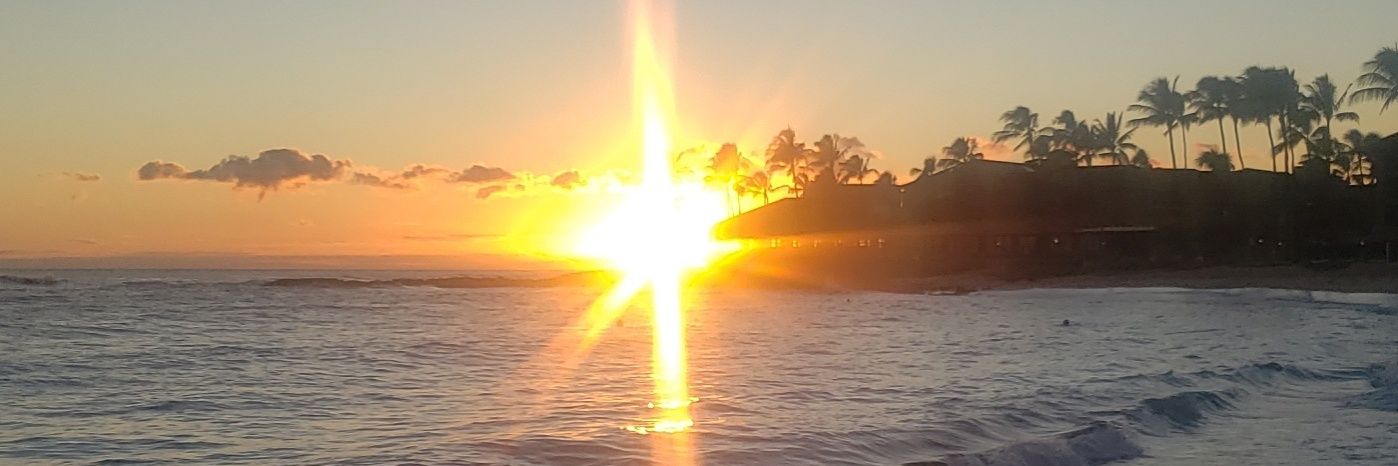 damulattocreole's profile banner image