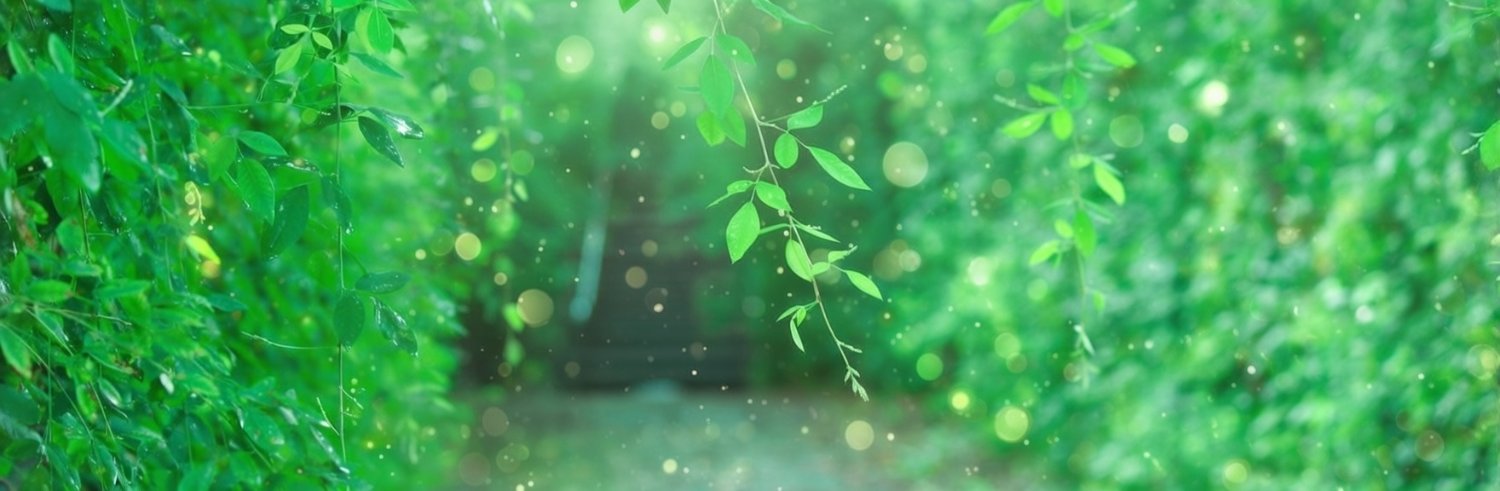いとたまフォト banner