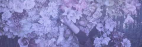 _Shoulddie's profile banner image