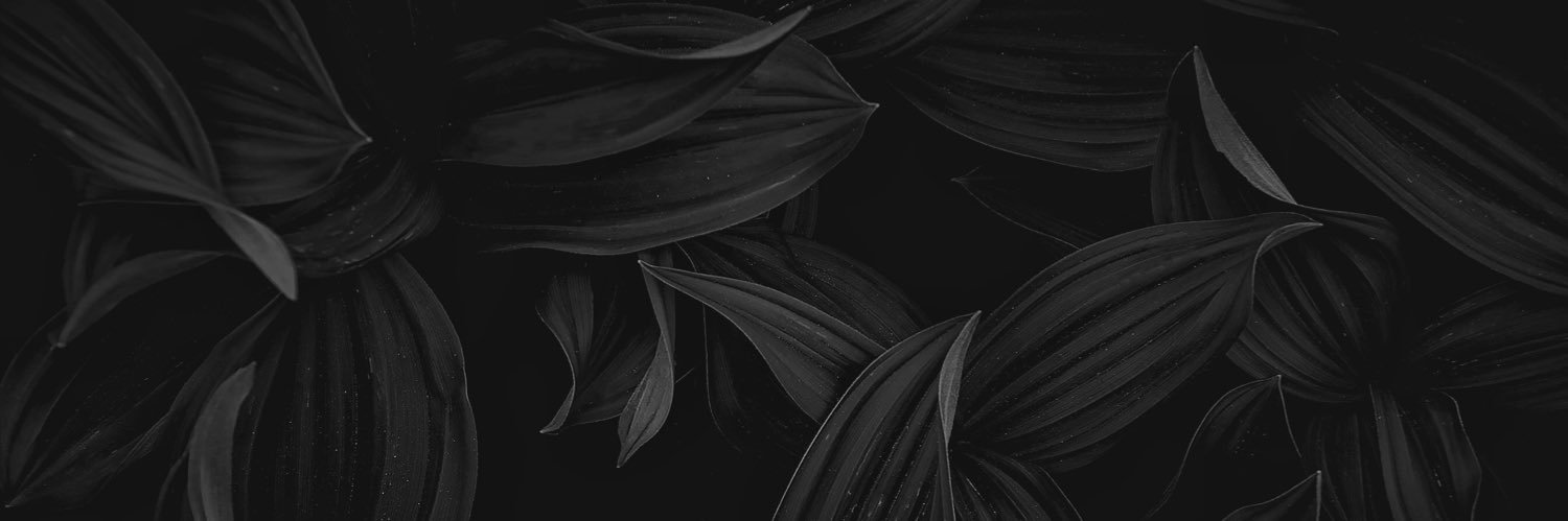 ywrgos's profile banner image